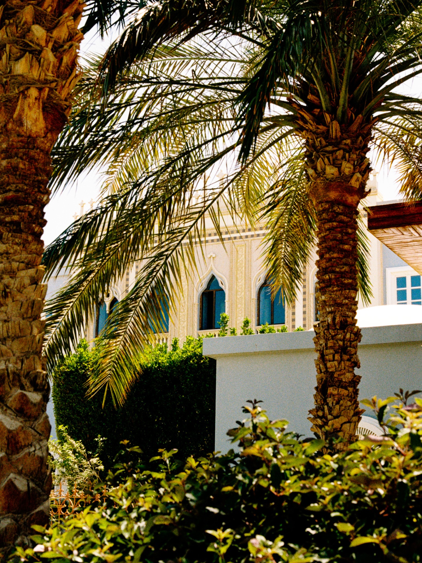Moorish gothic windows framed by date palms