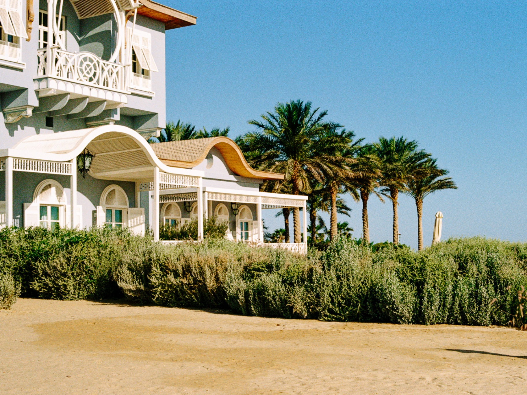 Beachfront facade with date palms and wave-shaped roof