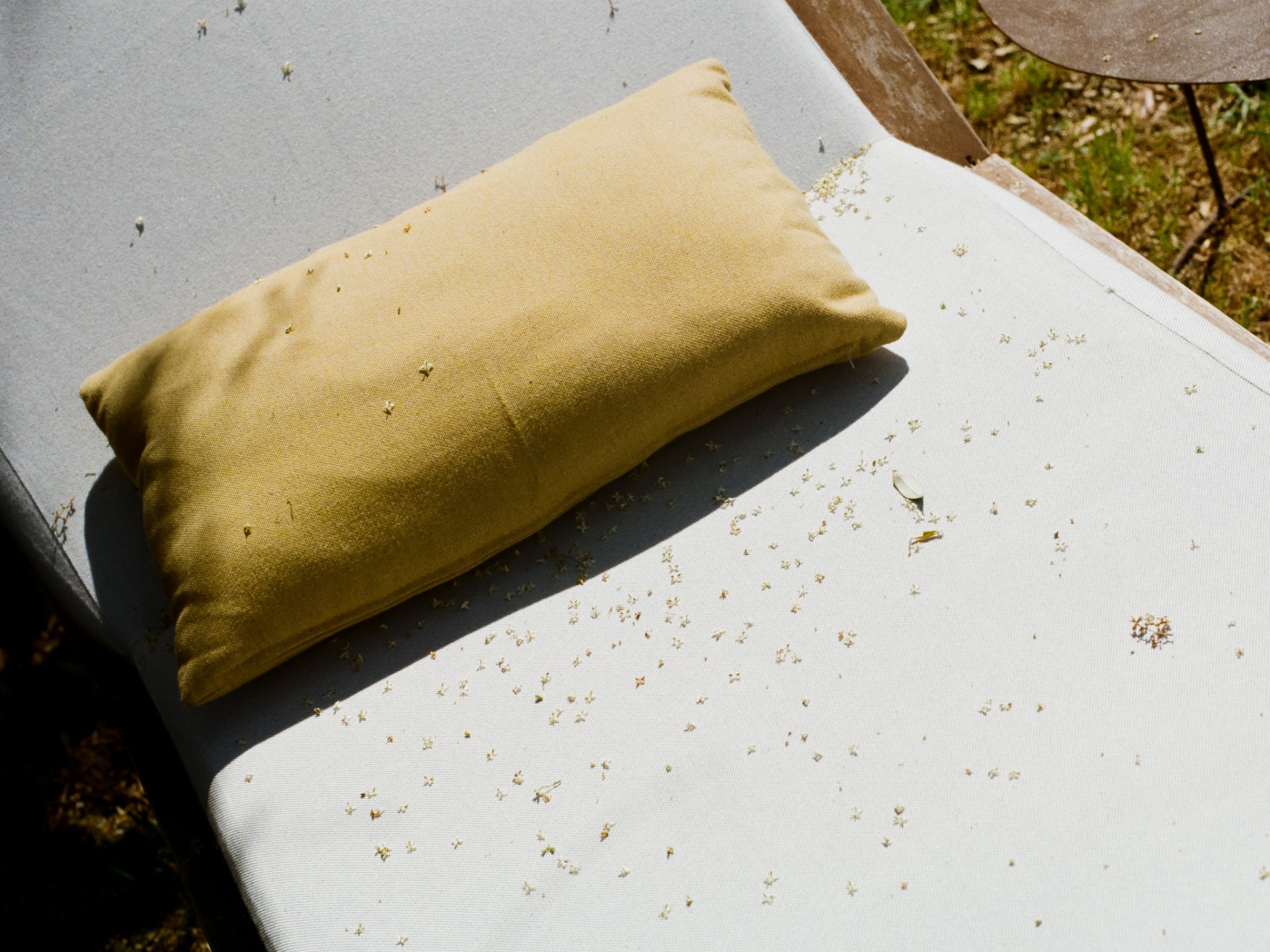 Mustard linen cushion on a sun-bleached daybed scattered with petals